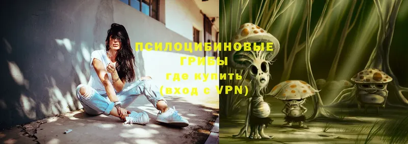 Галлюциногенные грибы Magic Shrooms  Североморск 